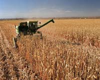 Logos Technologies And EdeniQ Awarded Cellulosic Bio-Ethanol Grant