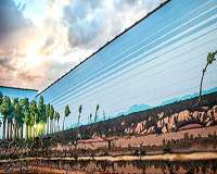 Critical zone, critical research at the weathering zone