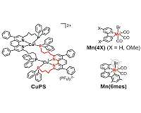Great strides for carbon capture using earth-abundant elements as photocatalytic system