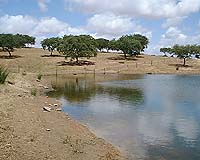 Drought Length Influences Survival Of Fish In Stream Pools
