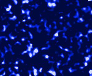 Astrophysicists to probe dark matter in sunny California