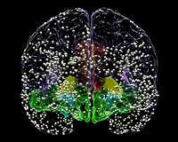 Breakthroughs Inspire Hope for Treating Intractable Mood Disorders