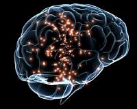 Journey of Discovery Starts toward Understanding and Treating Networks of the Brain