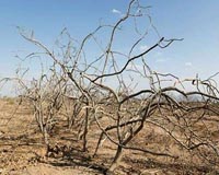 New water pollution protests hit southwest Iran