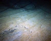 Scientists begin to unlock secrets of deep ocean color from organic materials