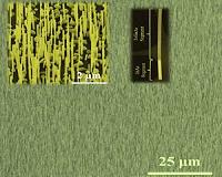 Researchers improve performance of III-V nanowire solar cells on graphene