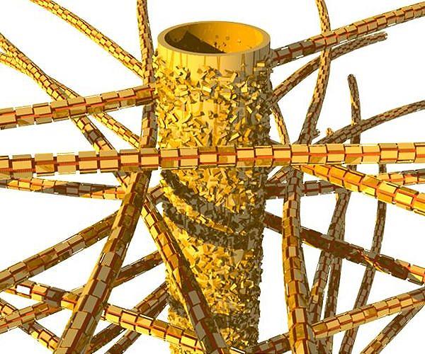 Unlocking the potential of collagen modulation for biomaterials in human health