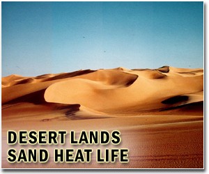 World can beat desertification: UN chief