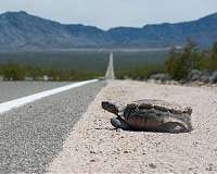 Study shows regions increasingly suffer hot, dry conditions at the same time