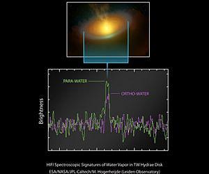 Herschel detects abundant water in planet-forming disc