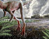 Insights into climate change during origin of dinosaurs