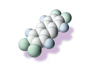 Dioxin scare closes 1,000 German farms: authorities