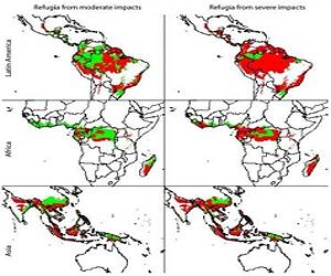Global Tropical Forests Threatened By 2100
