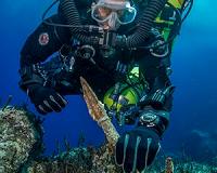 New Antikythera Discoveries Prove Luxury Cargo Survives