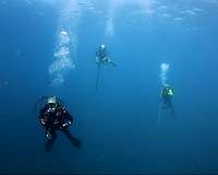 Genetic adaptations to diving discovered in humans for the first time