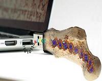 Data-storage for eternity