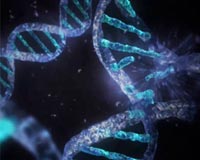 How The Code Of Life Passed Through Primitive Kinds Of Cells