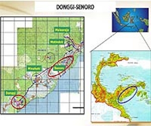 Indonesian foreign oil investment at risk?