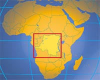 Rights group slams China firm over DR Congo workers