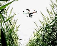 China drone king turns to farming