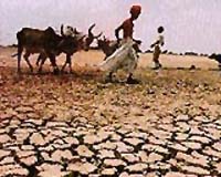 Extreme weather starving Uganda's pastoralists