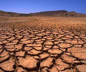 UN calls for funds for drought-hit Sahel