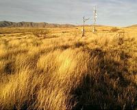 The United States absorbed carbon dioxide despite a drought