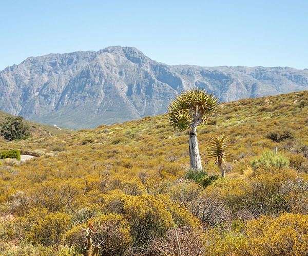 Upwind Moisture Sources Significantly Increase Global Water Security Risks