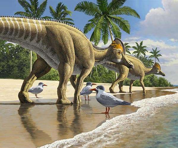 Duckbill dinosaur fossils from Africa hints at how dinosaurs once crossed oceans
