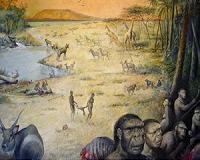 Technological and cultural innovations amongst early humans not sparked by climate change