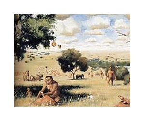 Forest or grassland: where did humans learn to walk?