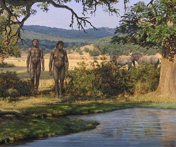 New model sheds light on human dispersal phases across Europe