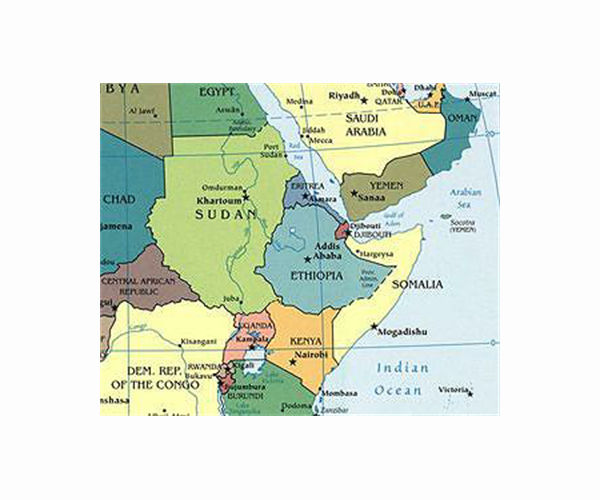 20 million risk starvation as Horn of Africa drought worsens: UN