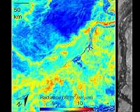 NASA's 'Space Botanist' Gathers First Data