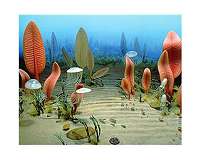 What caused the mass extinction of Earth's first animals?