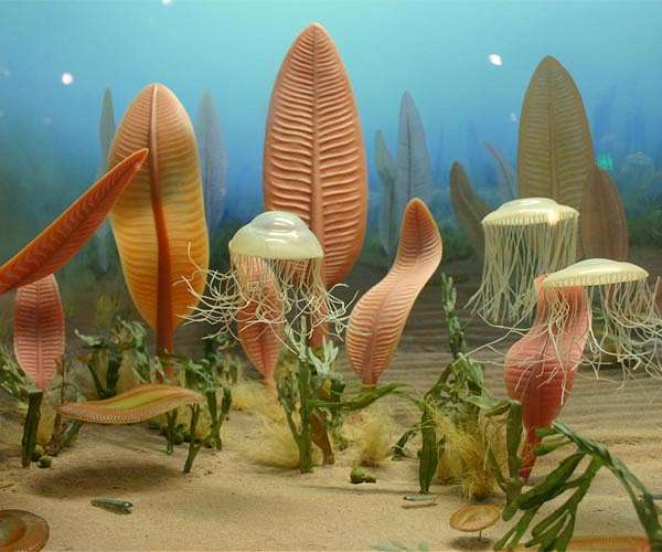 Earth might be experiencing 7th mass extinction, not 6th