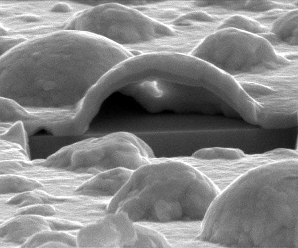 JEMCA, a new electron microscope center to advance in research into structural biology and new materials