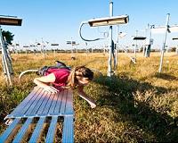 Will grassland soil weather a change?