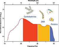Laser pulses for ultrahigh molecular sensitivity, in Nature Photonics