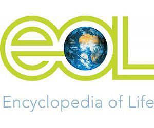 The Encyclopedia of Life expanding at a record pace