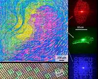 Holographic color printing for optical security