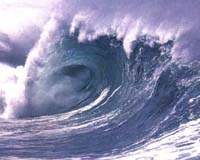 Tsunami but no damage after powerful 7.1 quake jolts New Zealand