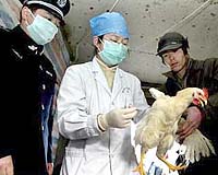 China meat scandal spreads to Japan in Chicken McNuggets