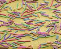 Bacterial resistance to copper in the making for thousands of years