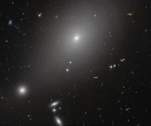Bully Galaxy Rules The Neighborhood