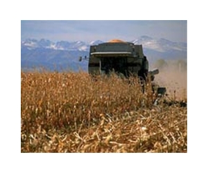 Beyond The Corn Field: Balancing Fuel, Food And Biodiversity