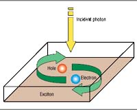 Nanotube Flickering Reveals Single-Molecule Rendezvous