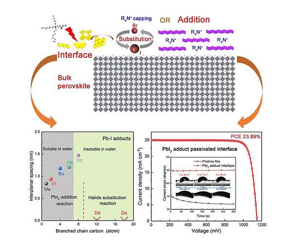 Reconfiguring perovskite interface via R4NBr addition stabilizers FAPbI3-based solar cells