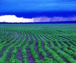 UNL Research Raises Concerns About Future Global Crop Yield Projections