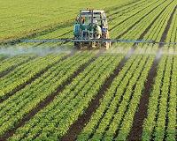 EU court extends GMO rules to new techniques